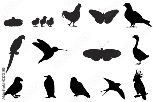 set of silhouettes of birds
