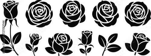 Black and white rose illustration, floral vector design, decorative flower sketch, tattoo style roses, botanical artwork, elegant bloom drawing, graphic art