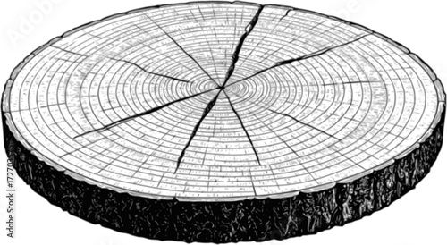 Detailed tree ring illustration showing growth rings and natural cracks. Vector illustration
