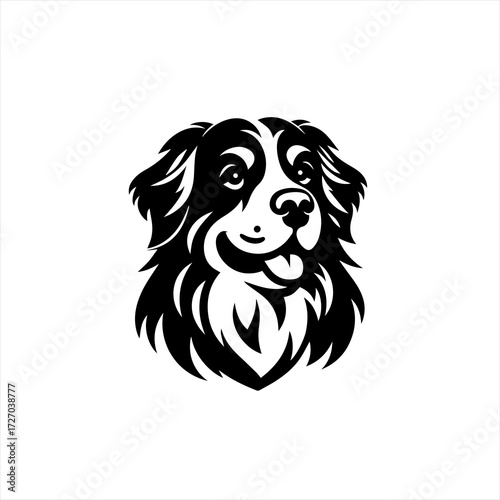 Stylized black and white portrait of a happy bernese mountain dog