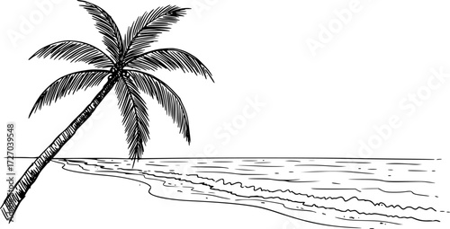 Coastline vector sketch hand drawn line art in nature, palm tree on tropical beach style
