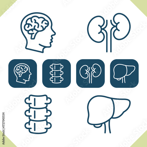 Internal Organs Icons
