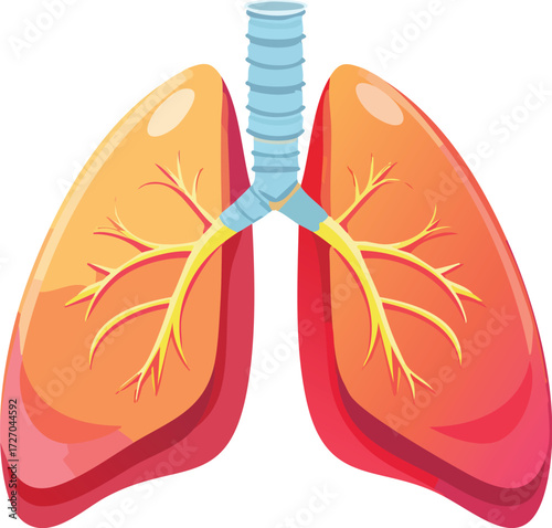 A simple, anatomical illustration of the human lungs and respiratory system. A vector for medical and health concepts. Generative AI