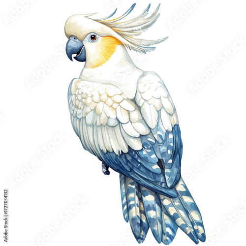 Cockatoo, watercolor illustration vector, isolated on a white background.