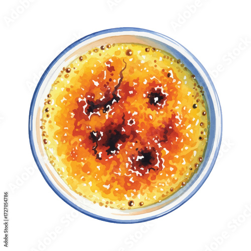 Watercolor Vector Crème Brûlée Dessert Illustration with Caramelized Sugar Topping Isolated on White Background