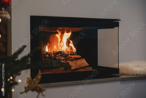 Burning Firewood in Modern Glass Fireplace for Cozy Winter Ambiance