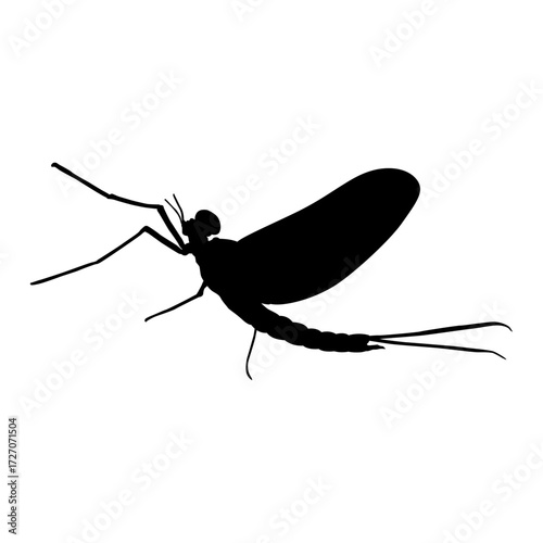 Mayfly Vector Black Silhouette Icon with Sharp Line Artwork