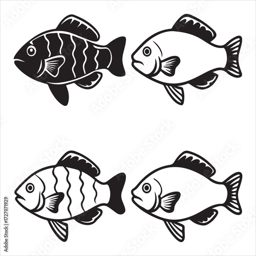 A Delicious Red Snapper Fish, a Firm Flesh Saltwater Seafood Staple and Favorite Fishing Catch from the Lutjanidae Family