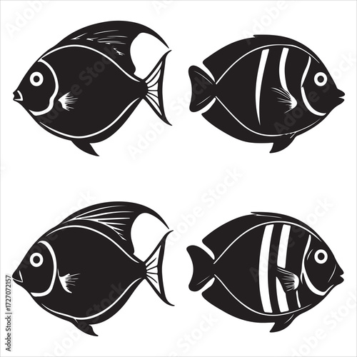 A Colorful and Tropical Surgeonfish, an Acanthuridae Reef Fish Wielding a Sharp Scalpel Spine for Defense, a Vibrant Herbivore of the Coral Ocean