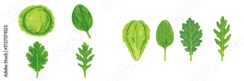 Fresh green vegetables including cabbage, spinach, and lettuce displayed on a white surface in a bright setting