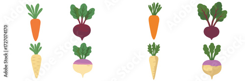 Colorful assortment of root vegetables on a white background showcasing diversity and freshness