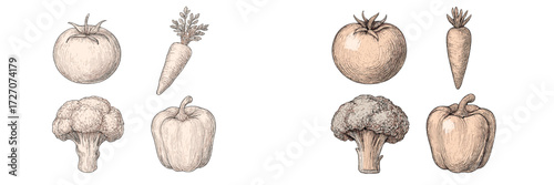 Illustration of fresh vegetables including tomatoes, carrots, broccoli, and bell peppers in a simple, detailed style