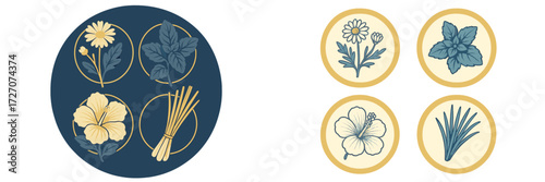 Colorful botanical illustrations showcasing herbs and flowers for kitchen and garden inspiration