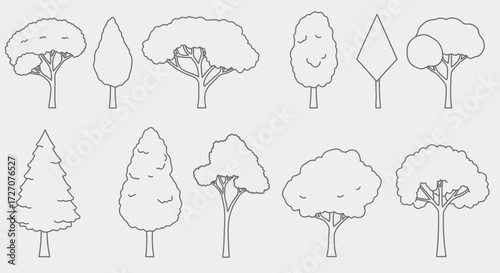 Collection of assorted outlined trees, vector graphic illustration featuring diverse tree silhouettes