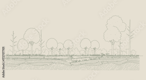 Detailed sketch of a forest ecosystem showcasing soil layers and tree lines