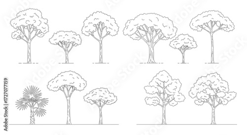 Detailed tree line art collection showcasing varied species and silhouettes for design needs