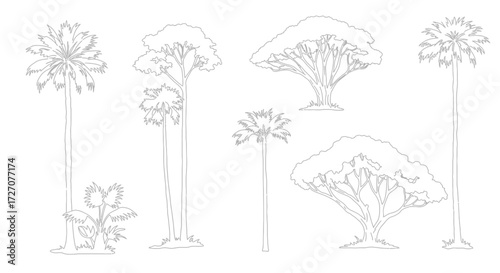 Detailed vector outline illustration of diverse trees, ideal for ecological studies