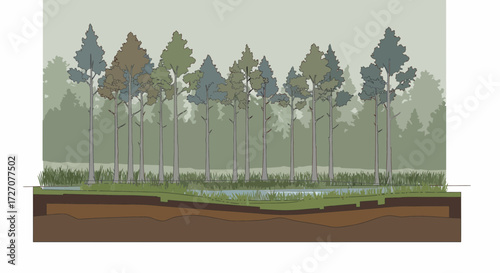 Illustrated cross-section of a forest ecosystem with trees, water, and soil layers
