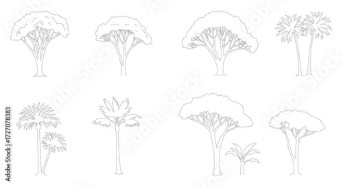 Outlined Tree Vector Illustration Set with Diverse Species and Outlines Styles