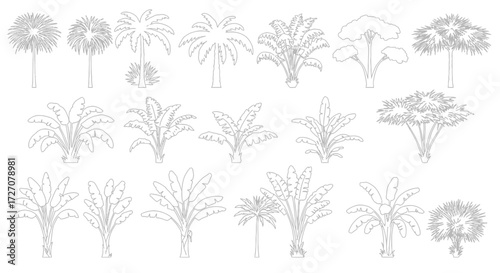 Tropical Tree Line Art Set: An Elegant Collection of Exotic Palm and Banana Trees