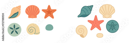 Colorful sea shells and starfish illustrations showcasing marine life details and textures on a light background