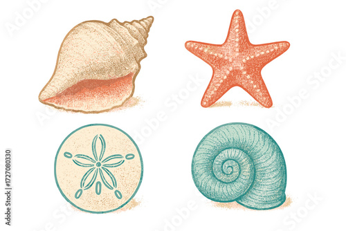Collection of colorful seashells and starfish arranged in a creative design showcasing nature's beauty