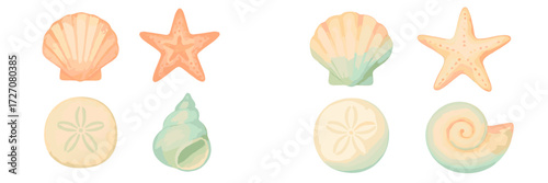 Beautiful collection of sea shells and starfish on a white background showcasing ocean life and marine treasures
