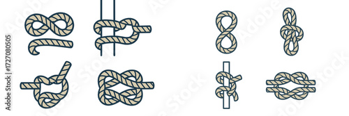 Variety of rope knots illustrated in clear design format for instructional use