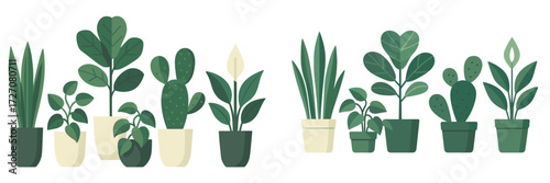 Collection of vibrant plants in modern pots enhancing home decor and indoor gardening interests