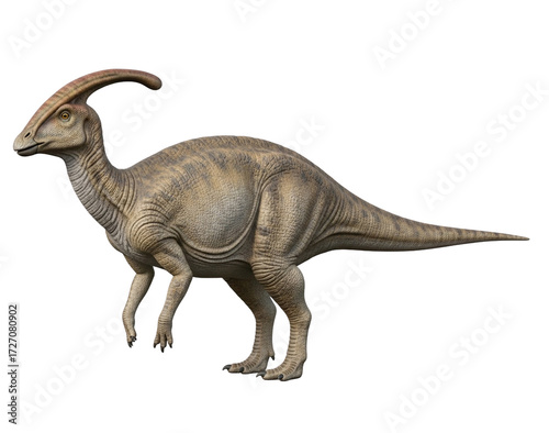 Parasaurolophus Transparent Background