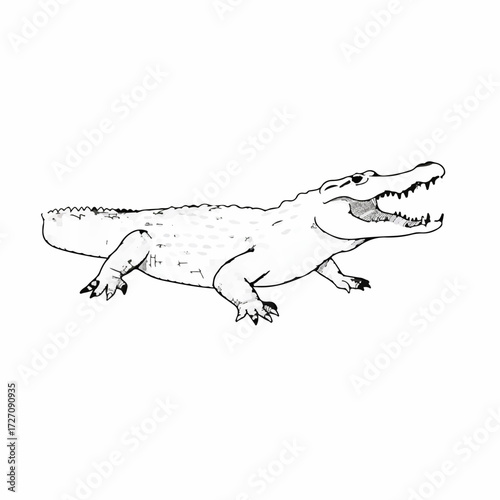 Detailed line drawing of an alligator with its mouth open, showcasing its sharp teeth and scaly skin.