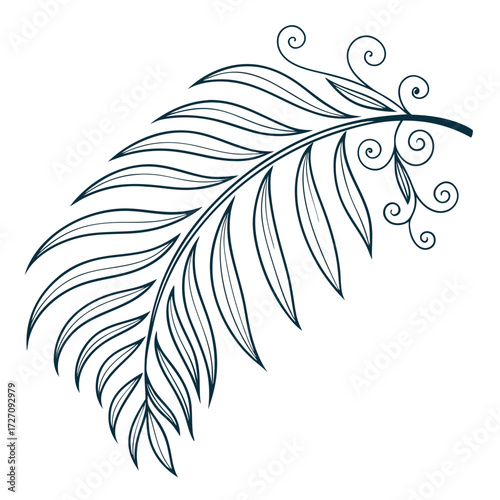 Elegant dark blue line art illustration of a delicate palm frond with swirling decorative tendrils on a clean white background perfect for tropical design elements