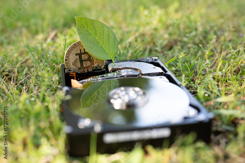Hard disk drive with a bitcoin and a chia leaf on the grass