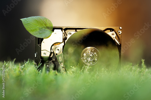 Hard disk drive with a chia leaf on the grass