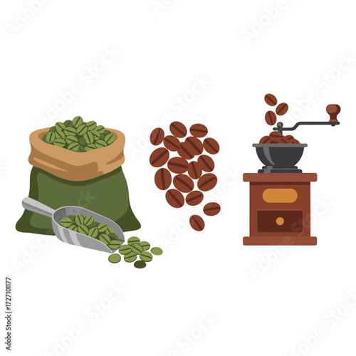 Coffee Beans From Green to Ground, Aromatic Journey of Roasted Coffee