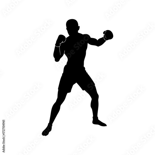 boxer silhouette on white background