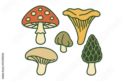 Colorful illustrations of various mushrooms highlighting nature's diversity and beauty in a playful design
