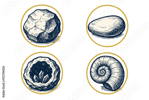 Detailed illustrations of various stones and shells showcasing natural textures and shapes in a simple design style