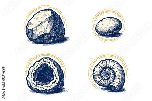 Incredible collection of geological specimens showcasing rocks, minerals, and fossils in detailed illustration style