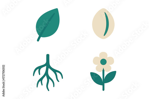 Illustrations of plant elements including a leaf, seed, root, and flower in a minimalist style