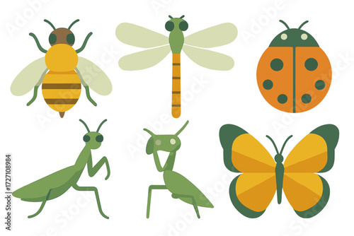 Colorful collection of illustrated insects including bee, dragonfly, ladybug, mantis, and butterfly displayed in a fun and playful design