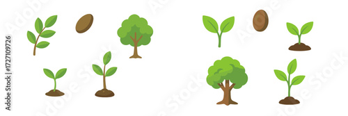Growing trees and plants in various stages of development showcasing nature's life cycle