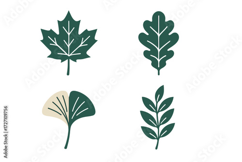 Collection of various green leaves showcasing diverse shapes and textures found in nature