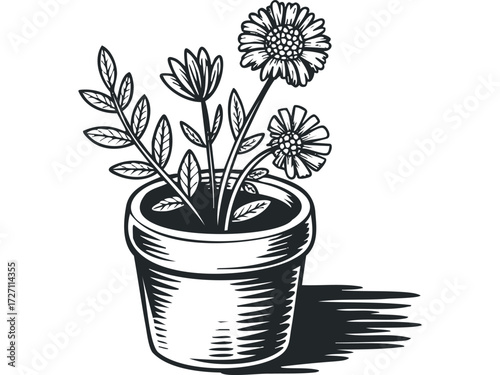 Potted flowering plants with leaves and shadow. Vector hand drawn illustration