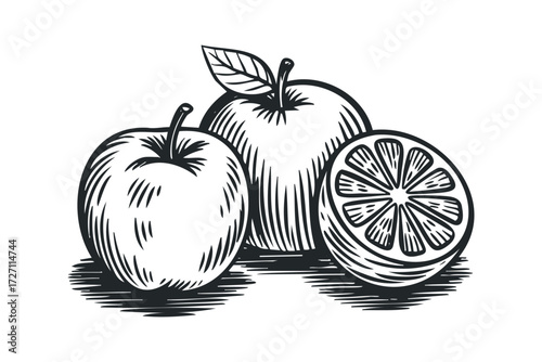 Linocut style image of two whole apples and a half orange. Vector hand drawn illustration