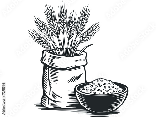 Wheat stalks in a sack with a bowl of grain. Vector hand drawn illustration