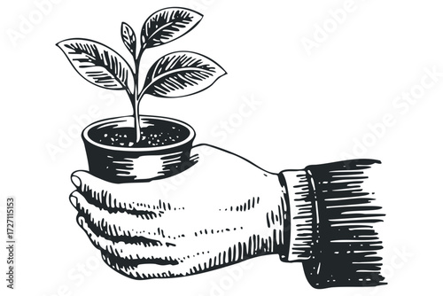 Hand holding small potted plant with leaves. Vector hand drawn illustration