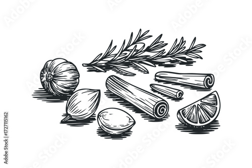 Sketch of Various Culinary Ingredients and Spices. Vector hand drawn illustration