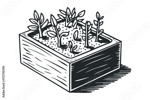 Seedlings Growing in Wooden Planter Box. Vector hand drawn illustration