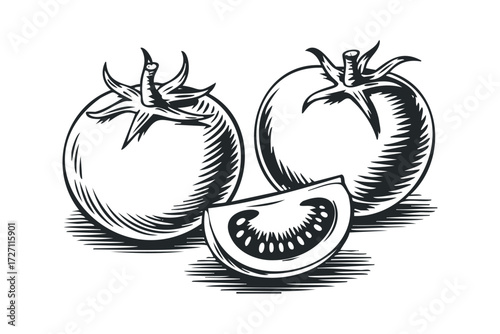 Two Whole Tomatoes and One Sliced Tomato. Vector hand drawn illustration